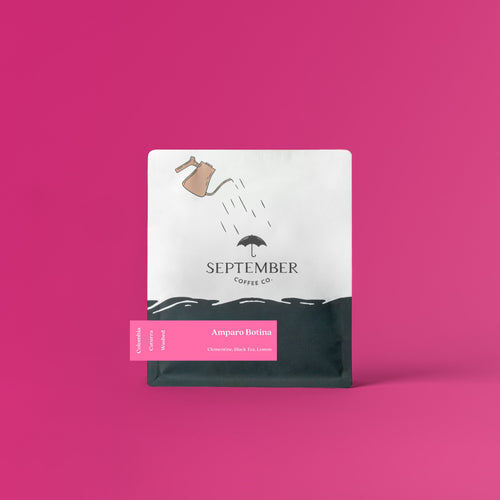 Amparo Botina — Colombia Washed Caturra