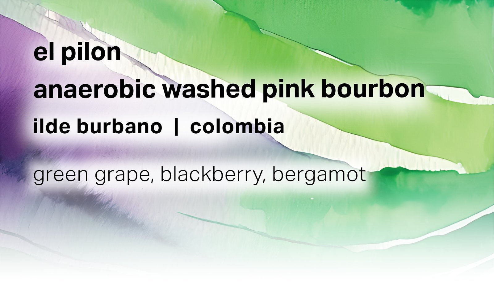 Moonwake — El Pilon — Anaerobic Washed Pink Bourbon (227g)