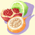 Pink Bourbon + Gesha Washed Finca Los Capachos (114g)