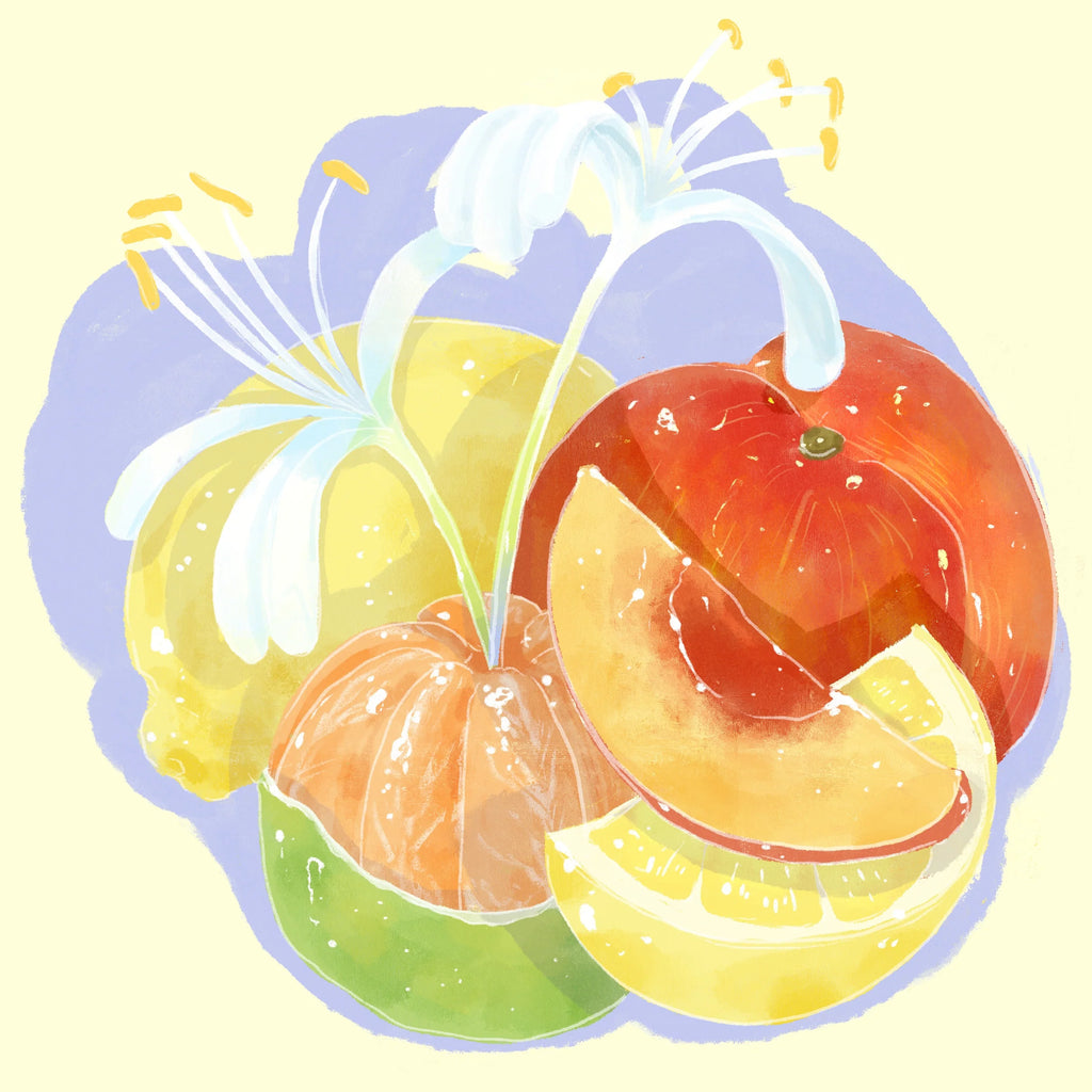 Hydrangea - 8oz (227g) Landrace Washed Habtamu Fekadu Aga, Chelbesa Outgrowers