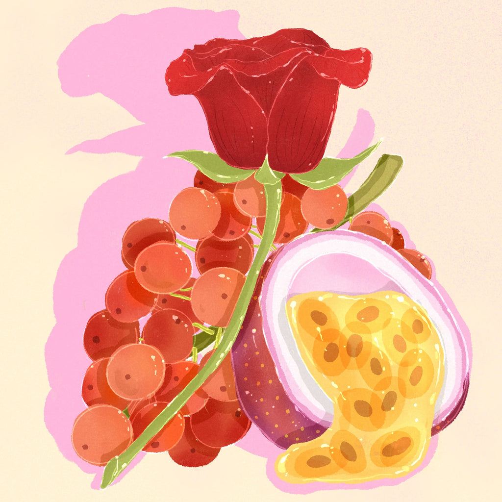 PRE-ORDER 4oz (114g) Gesha
Natural El Velo
Hacienda La Esmeralda