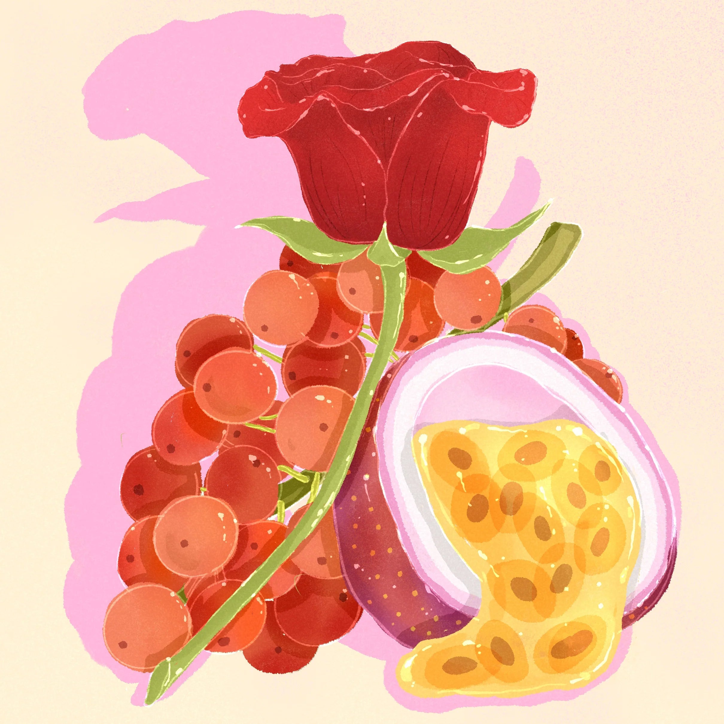 PRE-ORDER 4oz (114g) Gesha
Natural El Velo
Hacienda La Esmeralda