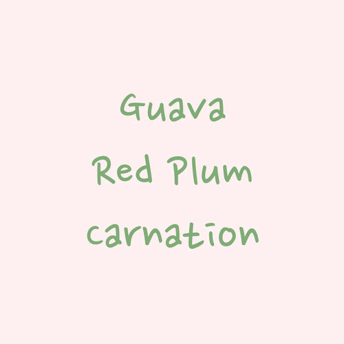 Hydrangea - 4oz (114g) Gesha Natural Finca Inmaculada, Fellow Farms Project