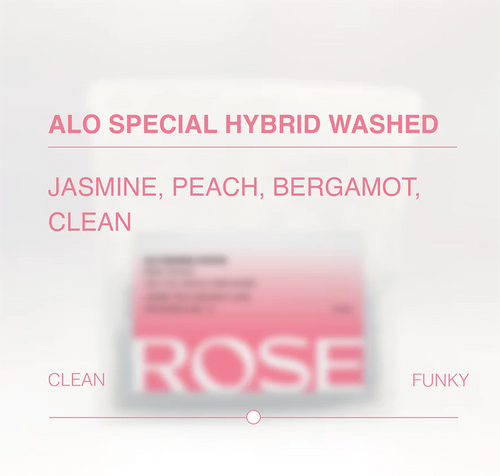 Alo Special Hybrid Washed (100g)