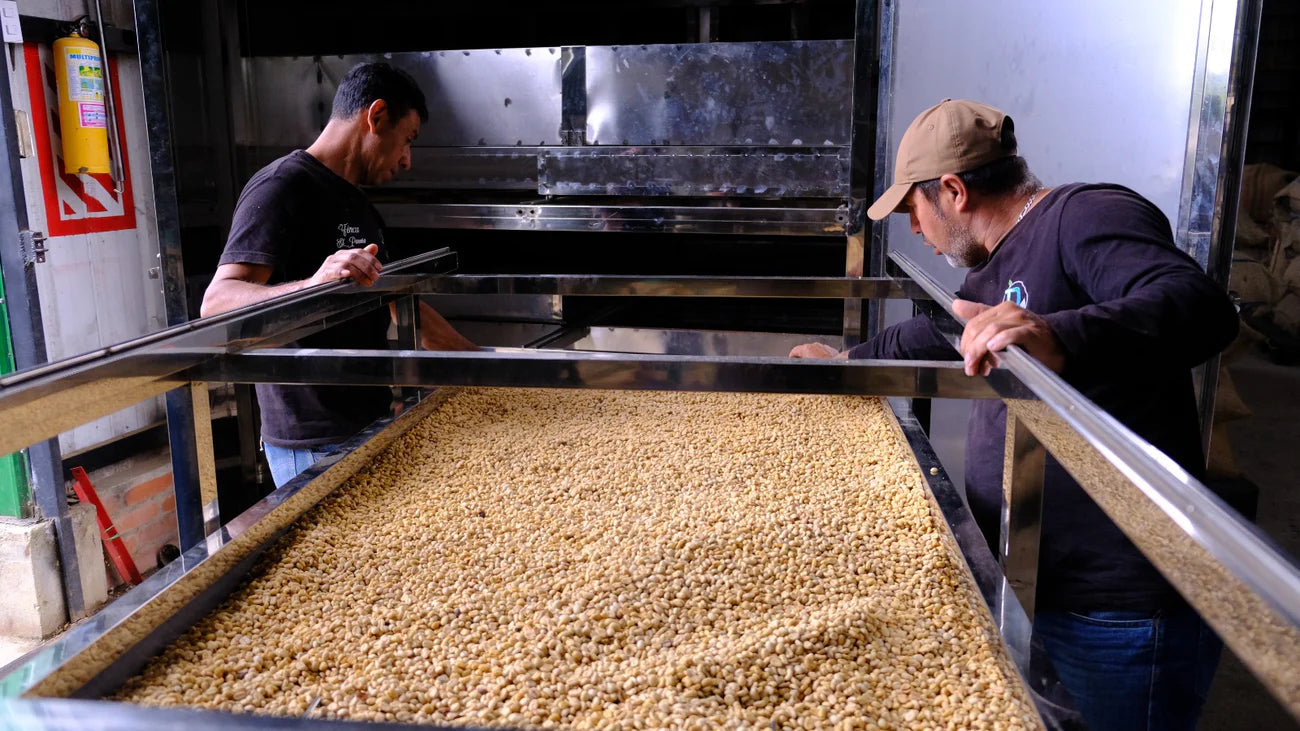 September - Letty Bermudez