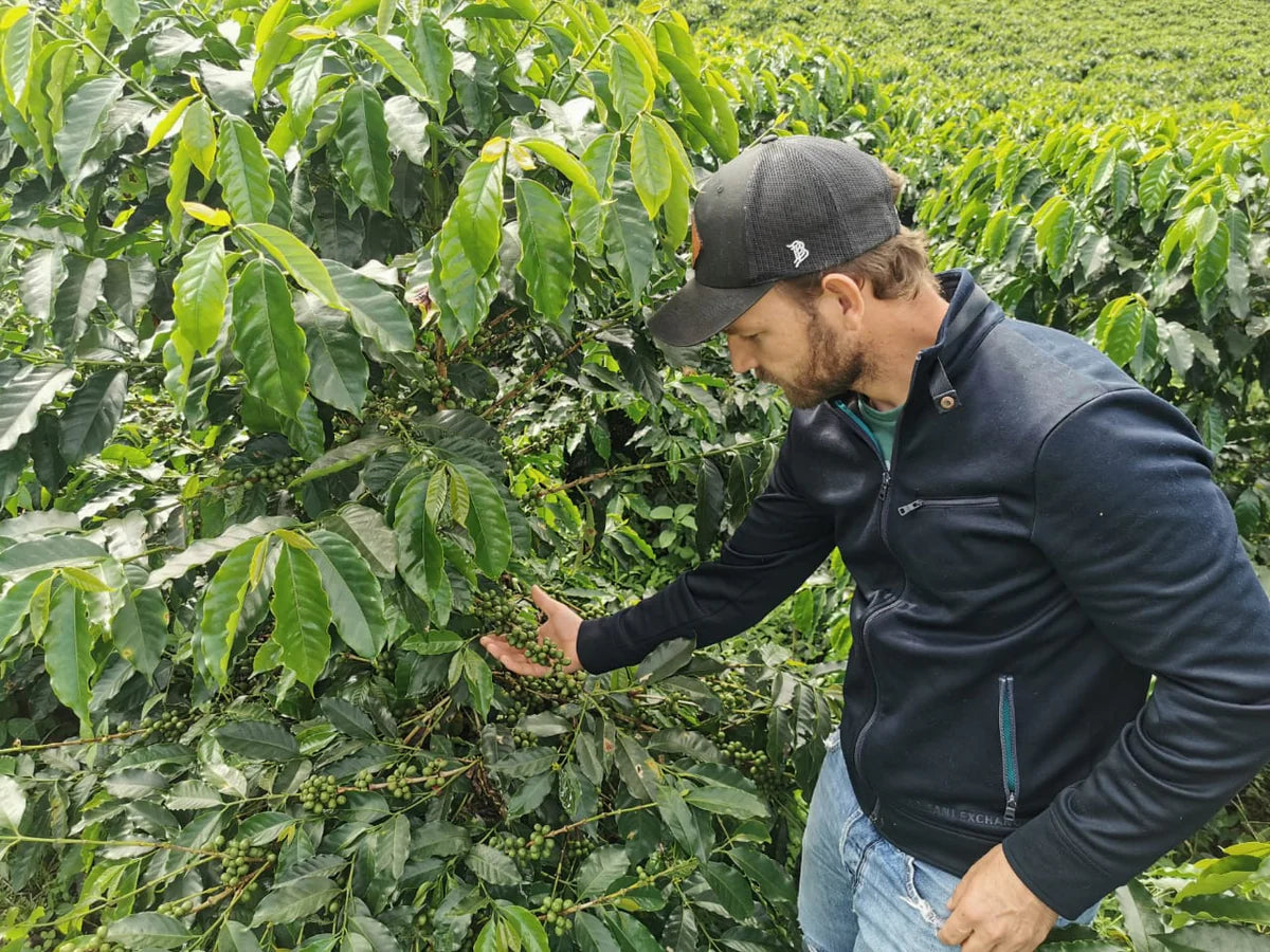 September - White Honey Geisha