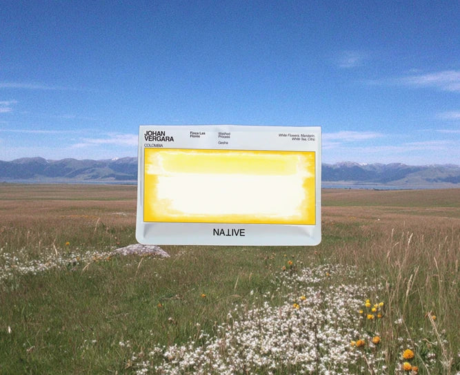 Native - Johan Vergara - Washed Gesha