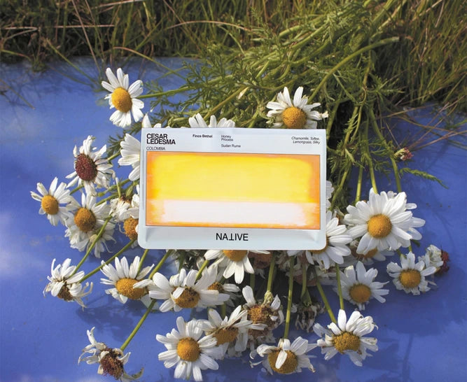 Native - Cesar Ledesma - Honey Process - Sudan Rume