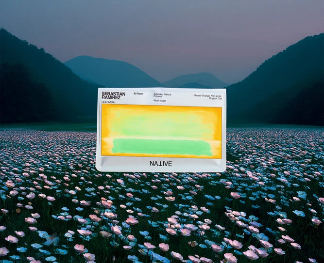 Native - Sebastian Ramirez - Extended Fermentation - Natural Wush Wush