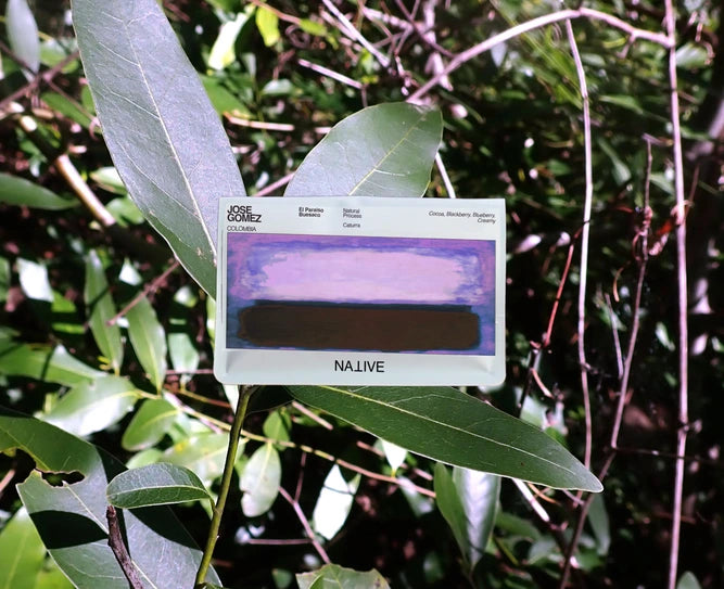 Native - Jose Gomez - Natural Caturra