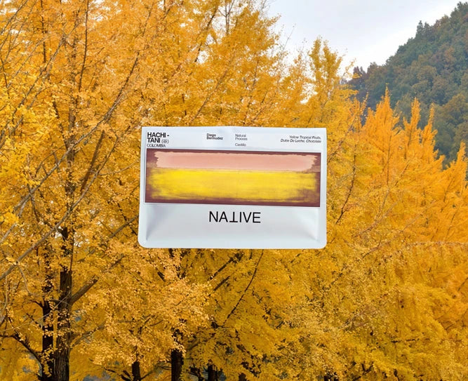 Native - HATCHI Tani - Deigeo Bermudez - Natural Castillo