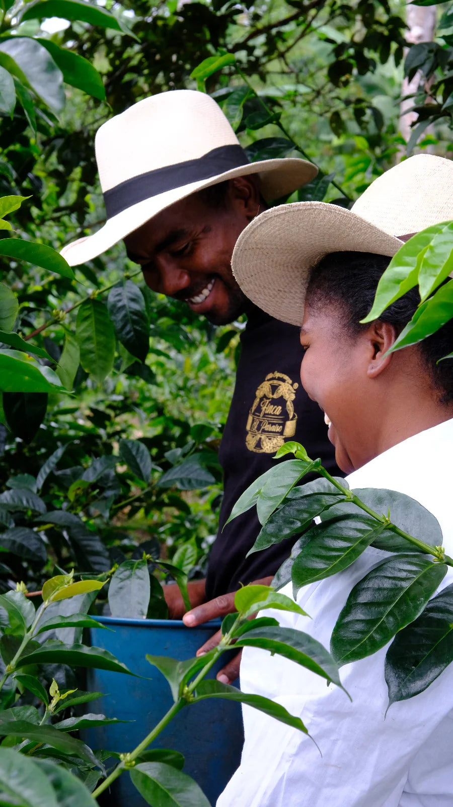 September - Letty Bermudez