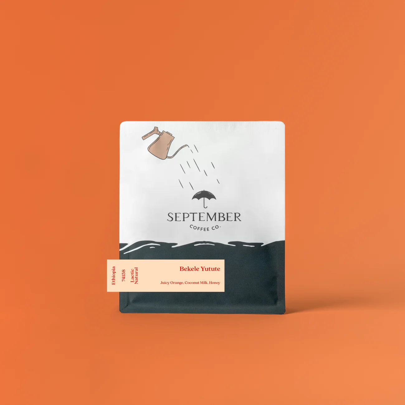 September - Bekele Yutute - Lactic Natural JARC 74158