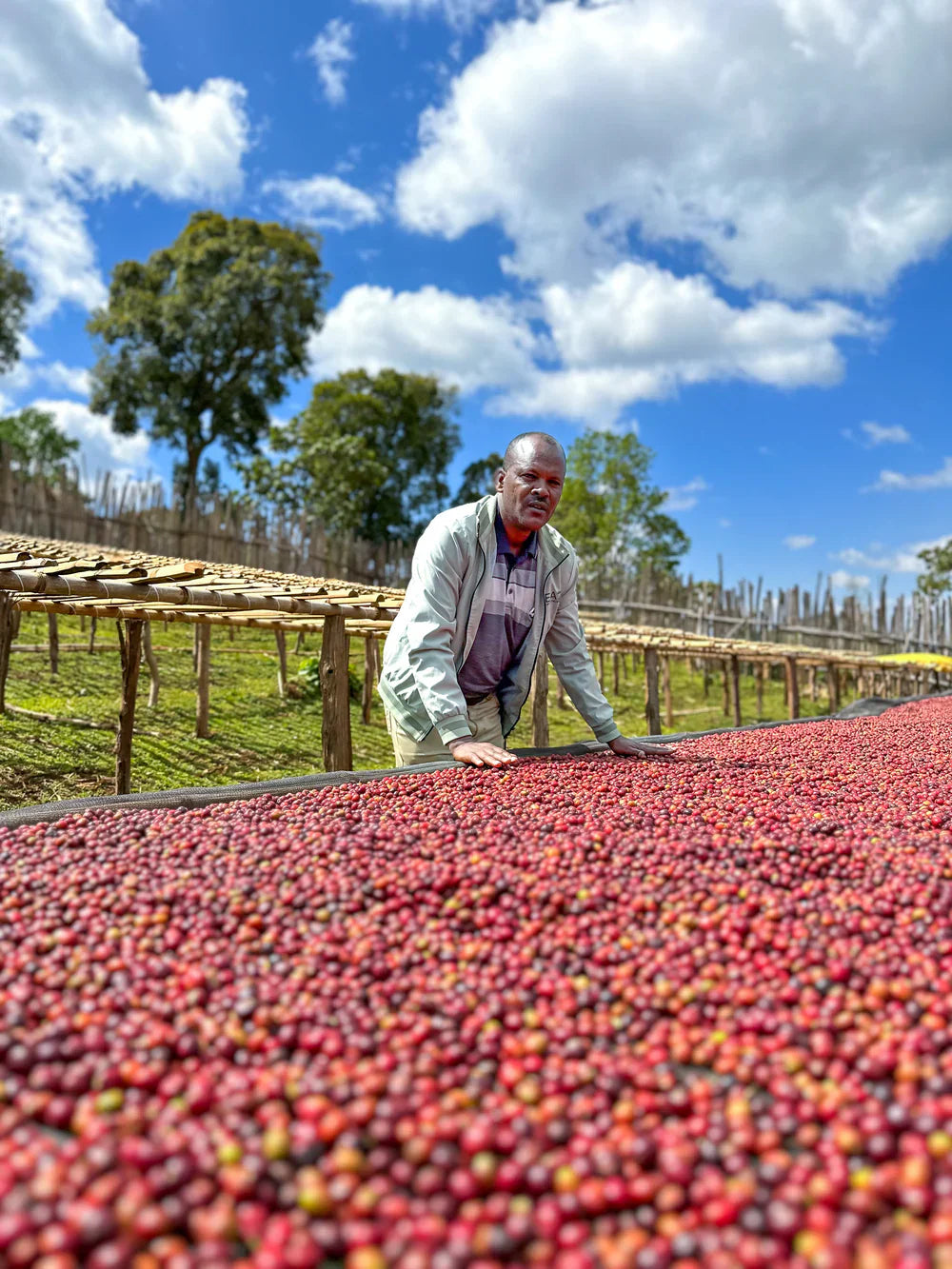 September - Bekele Yutute - Natural JARC 74158