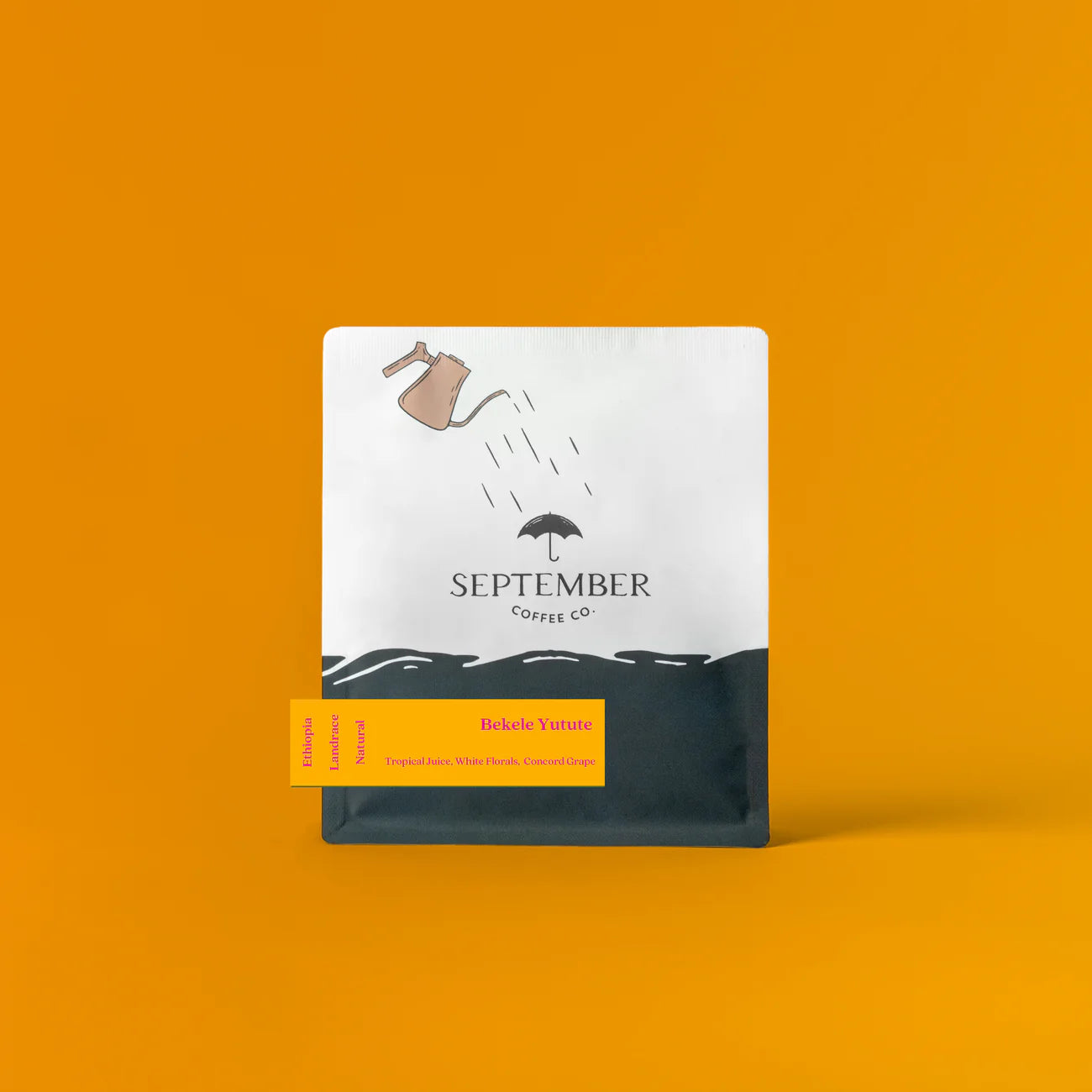 September - Bekele Yutute - Natural JARC 74158