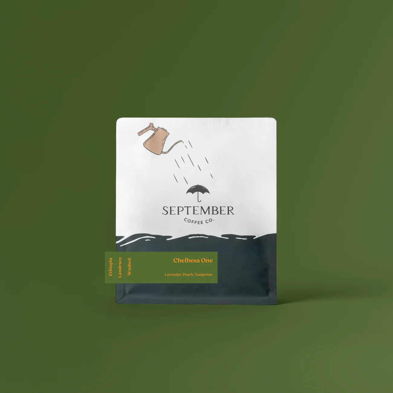 September - Chelbesa One - Washed Landrace